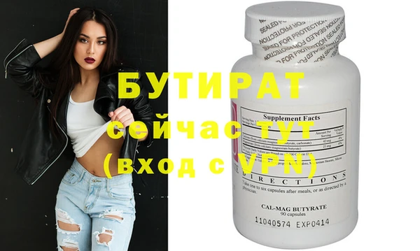 индика Ельня