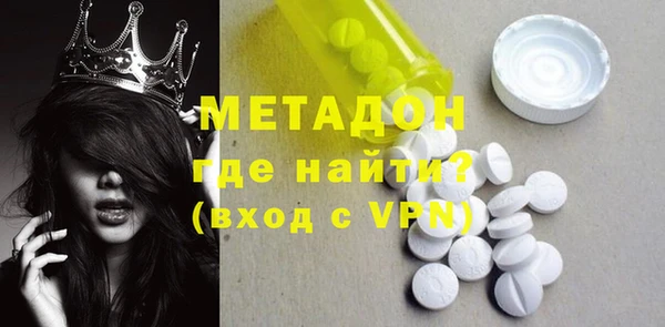 индика Ельня