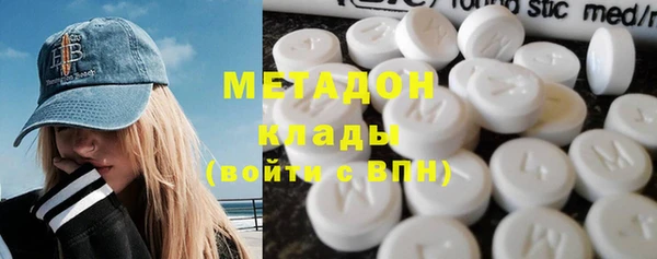индика Ельня