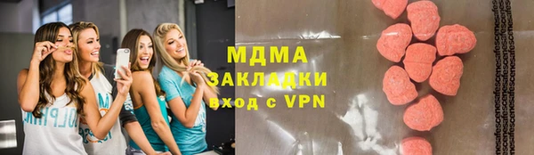 индика Ельня