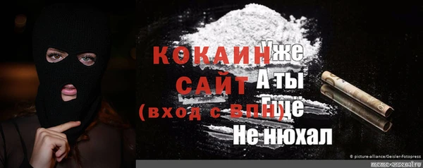 индика Ельня