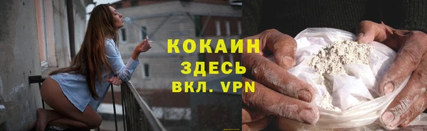 индика Ельня