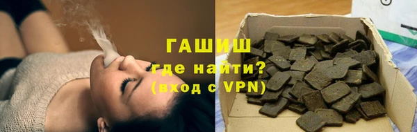 индика Ельня