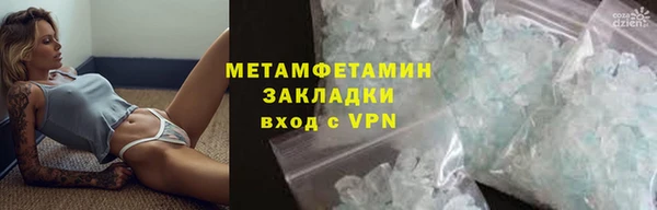индика Ельня