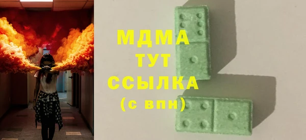индика Ельня