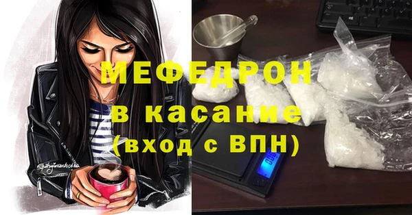 индика Ельня