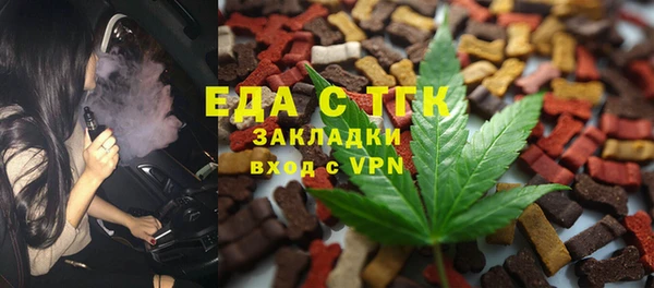 индика Ельня