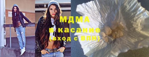 индика Ельня