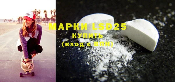 индика Ельня