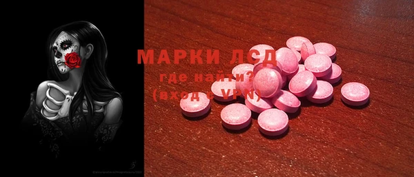 индика Ельня