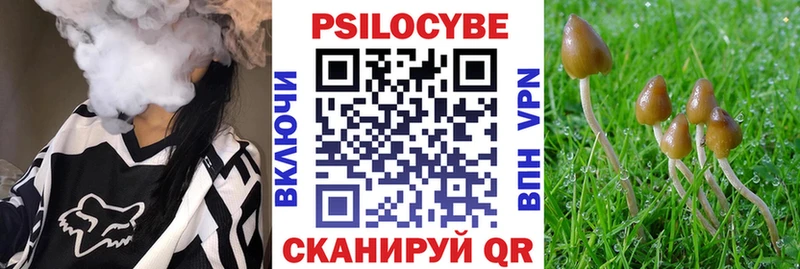 Купить  Правдинск  Галлюциногенные грибы Psilocybe 
